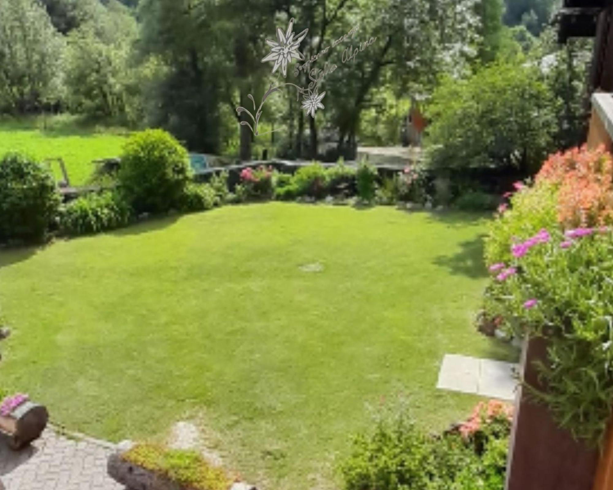 Vacanze Stella Alpina Apartment *