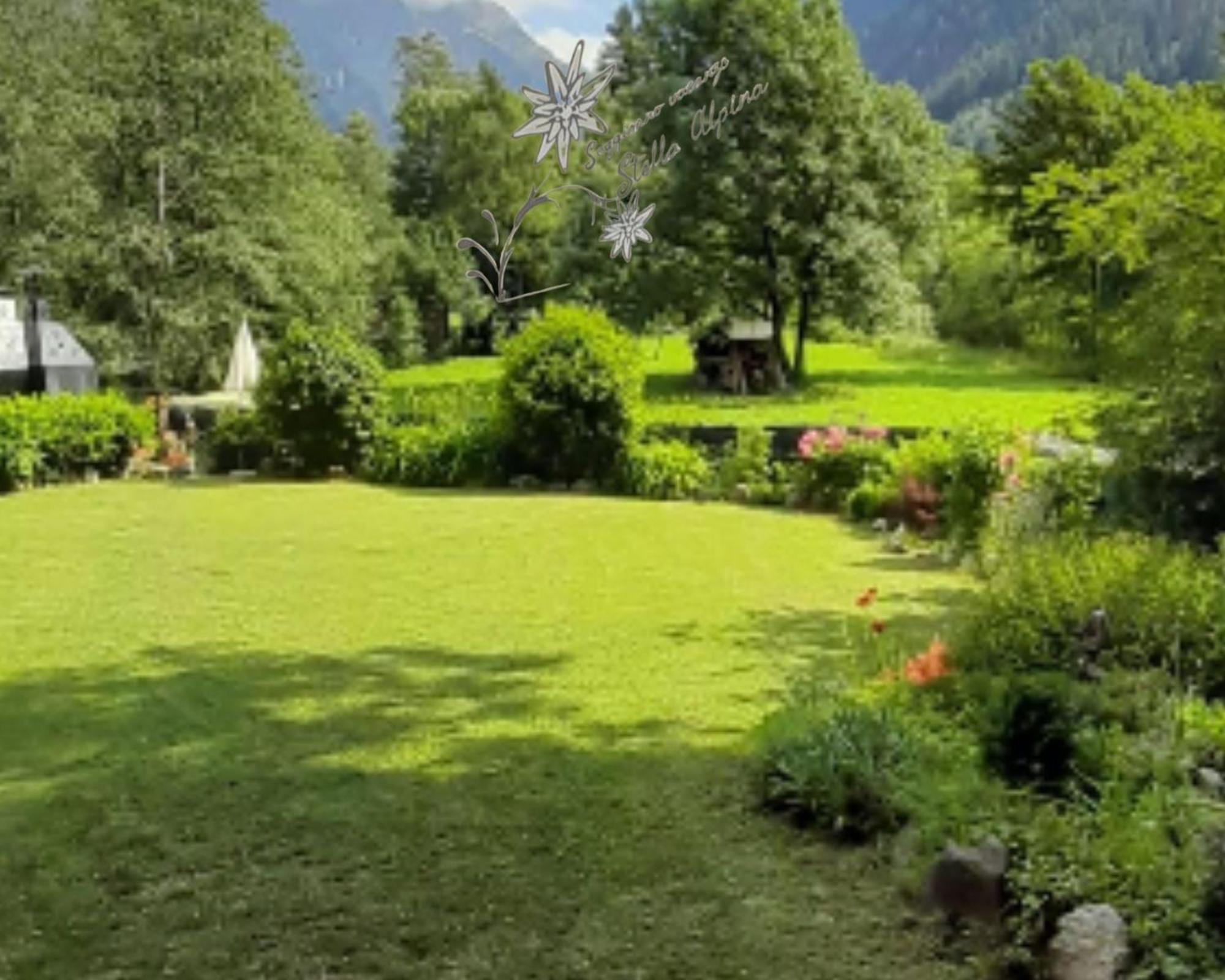 Vacanze Stella Alpina *