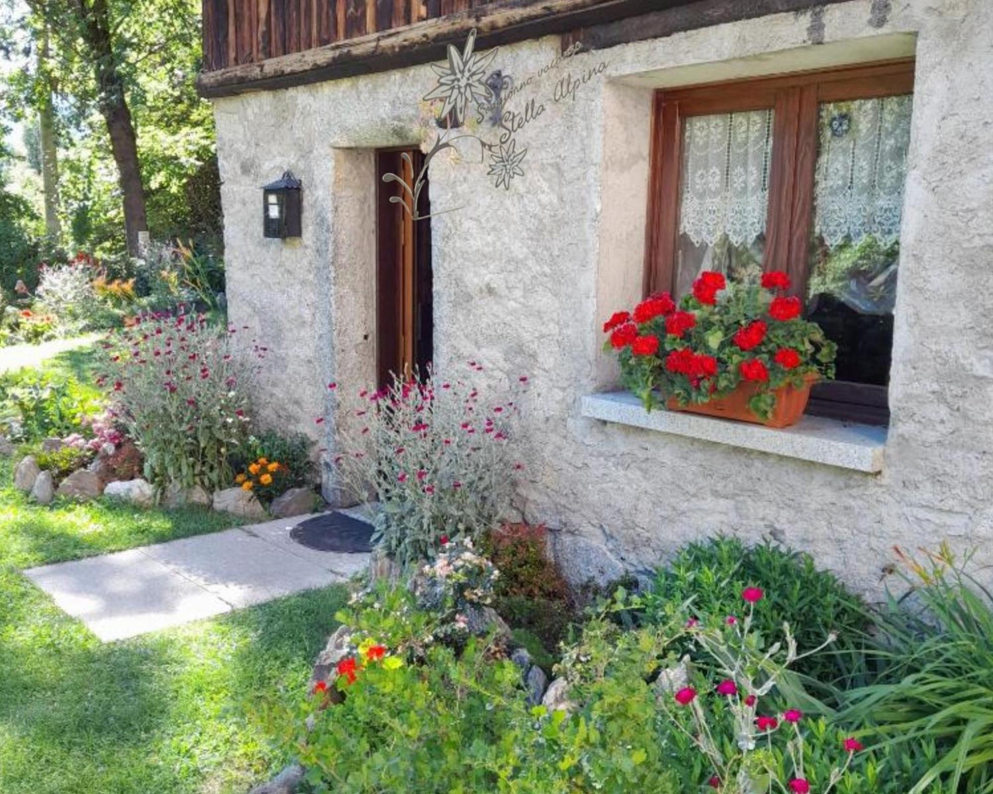 Vacanze Stella Alpina *